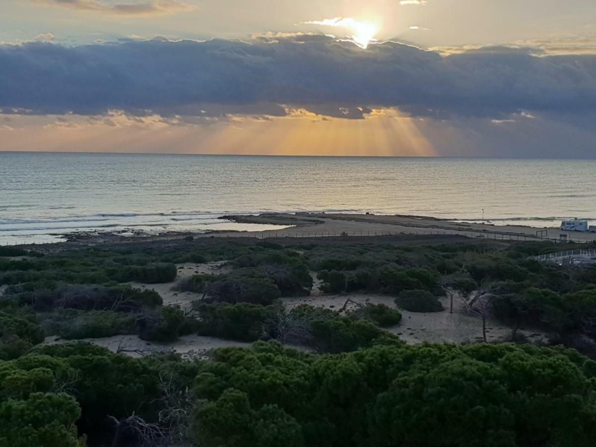 Holiday Apartments La Mata ラ・マタ エクステリア 写真